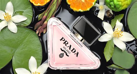 prada flower seeds|prada virtual flower perfume.